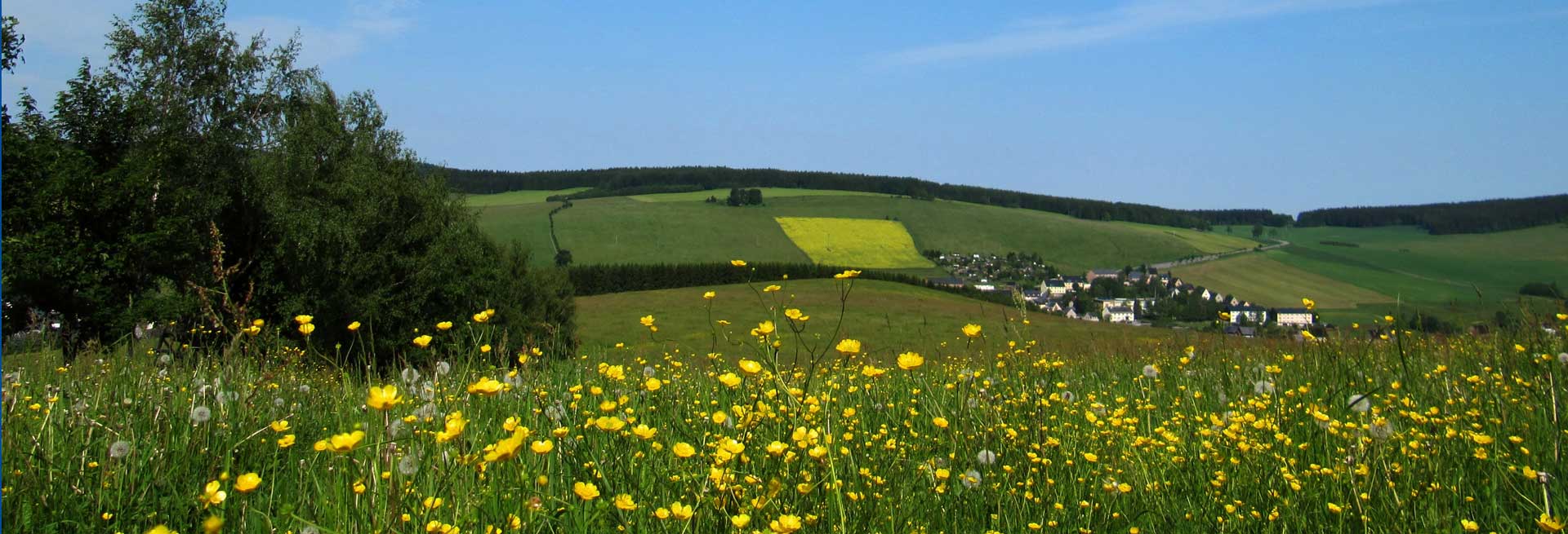 Blick über das Erzgebirge